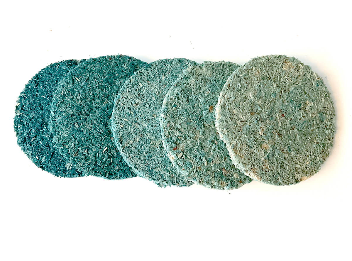 Mycelium Co-design