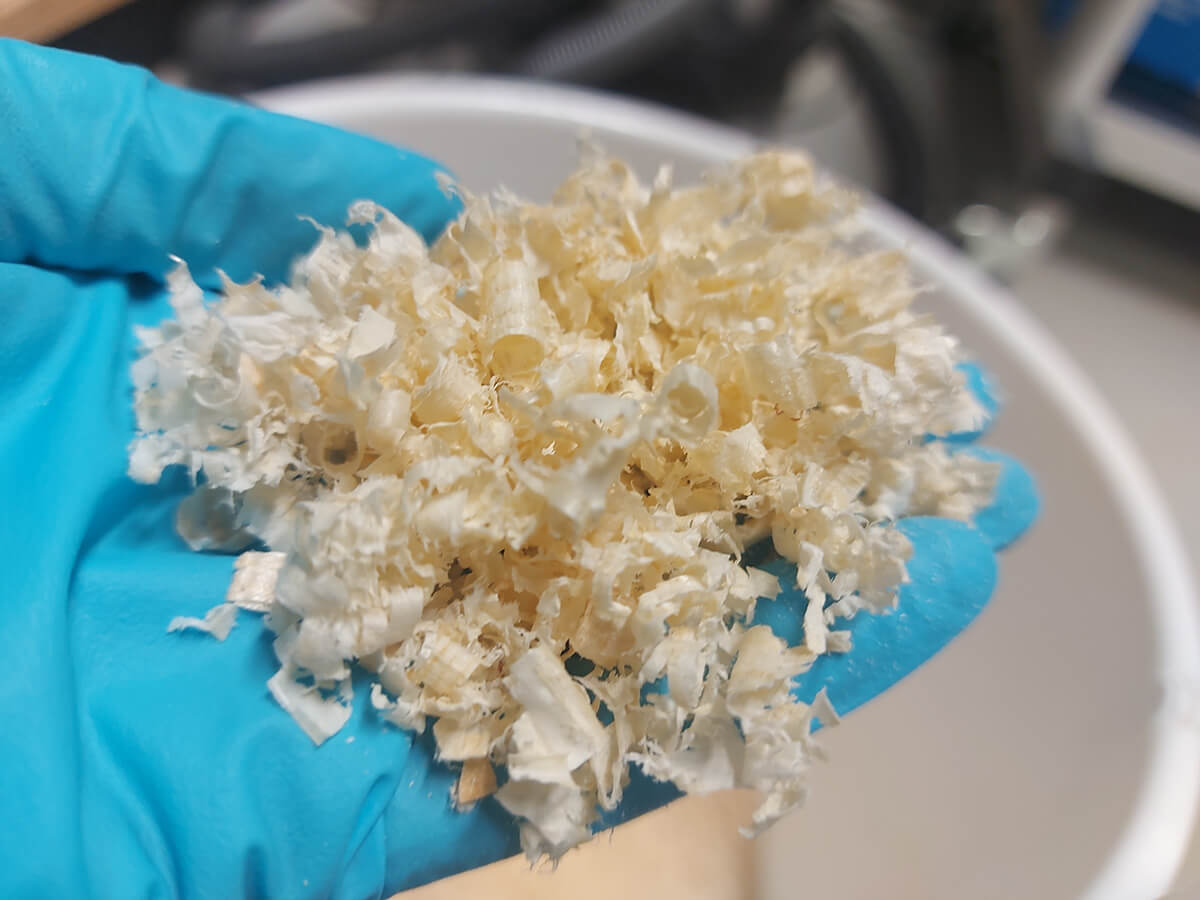 Biomaterial Samples