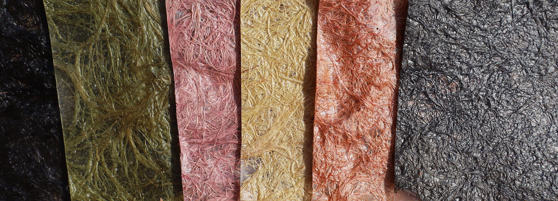 Biomaterial Samples