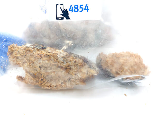 Biomaterial Samples