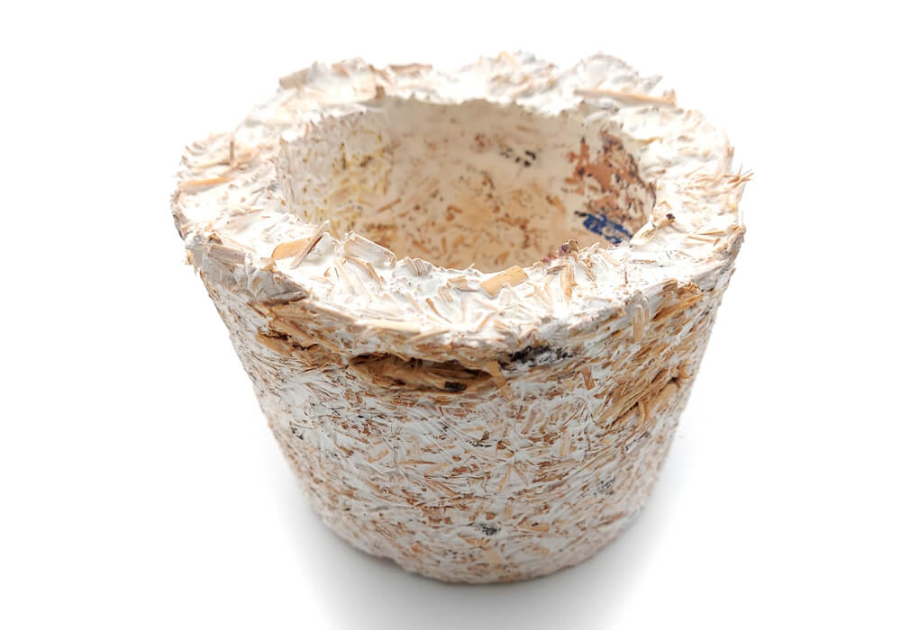 Biomaterial Samples