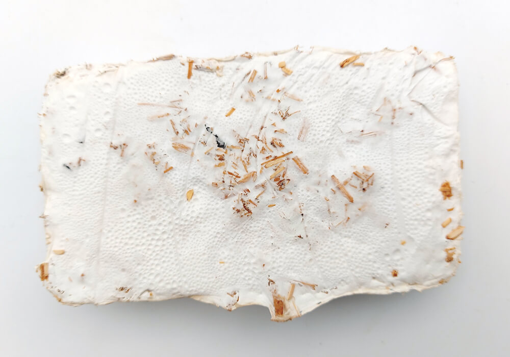 Biomaterial Samples