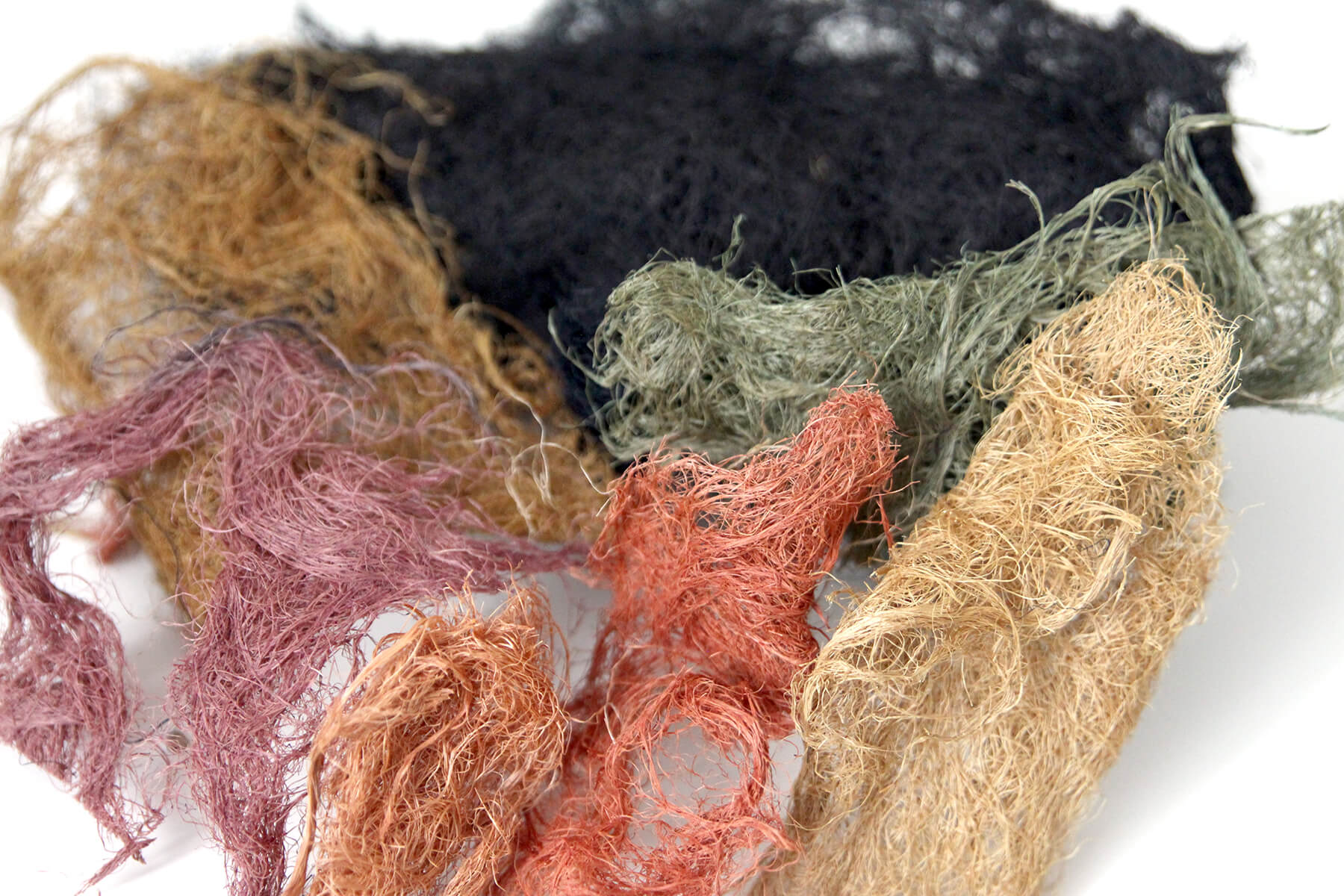 Biomaterial Samples
