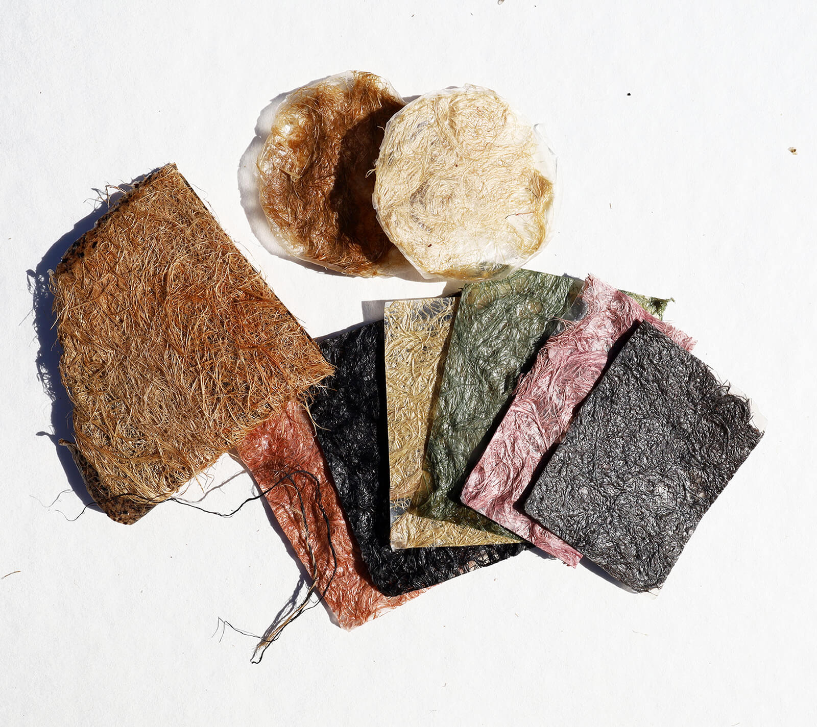 Biomaterial Samples
