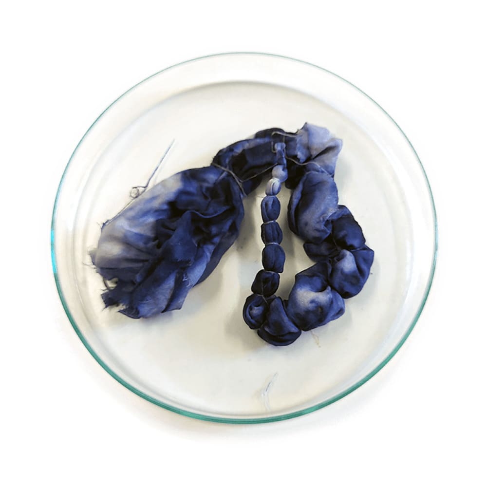 Bacteria Dyeing 2