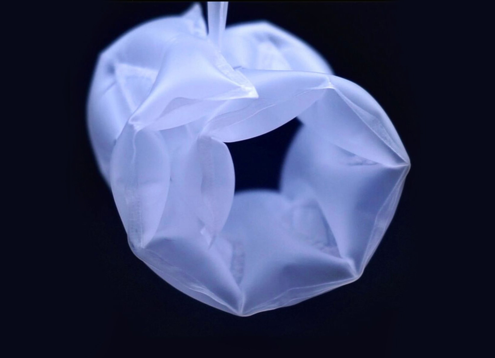 Soft Robotics